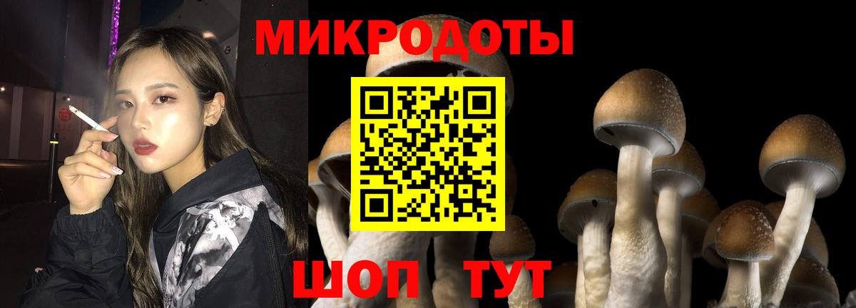 Миасс  сколько стоит  Псилоцибиновые грибы мухоморы  Вход с VPN  Псилоцибиновые грибы мухоморы 